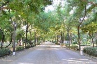 /album/sevilla/dsc-0089-jpg/