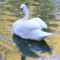 /album/sevilla/dsc-0111-jpg/