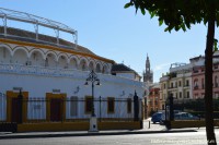 /album/sevilla/dsc-0134-jpg/