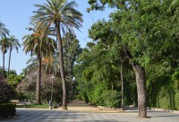 /album/sevilla/dsc-0008-jpg1/