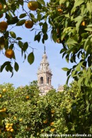 /album/sevilla/dsc-0064-jpg/
