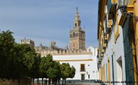 /album/sevilla/dsc-0072-jpg/