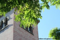 /album/sevilla/img-3809-jpg/